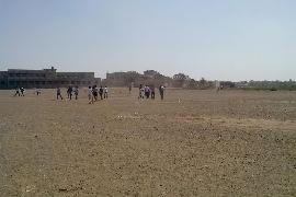 Cricket tournament 11-2-2014